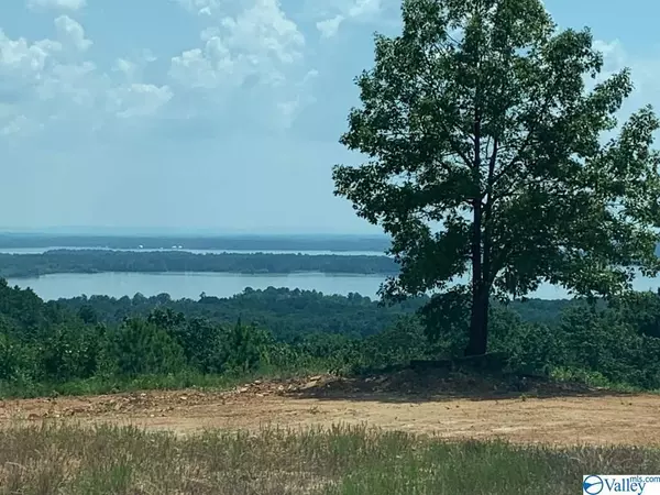 Cedar Bluff, AL 35959,Lot 234 County Road 767 ##234