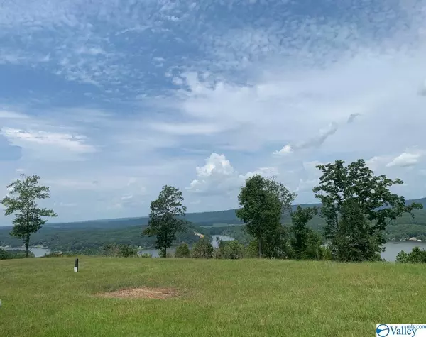 Cedar Bluff, AL 35959,Lot 234 County Road 767 ##234