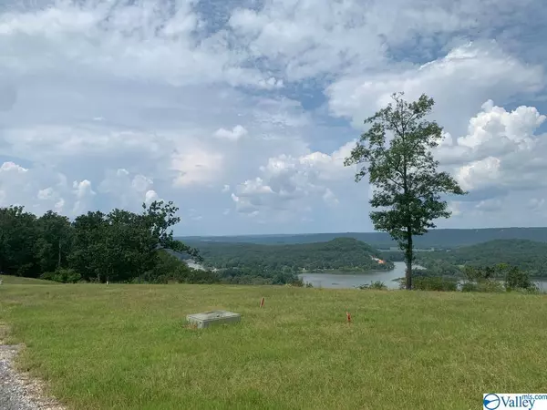 Cedar Bluff, AL 35959,Lot 45 County Road 767 ##45