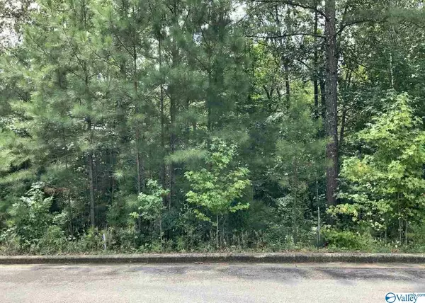 Leesburg, AL 35983,2 Lots Ridge Road