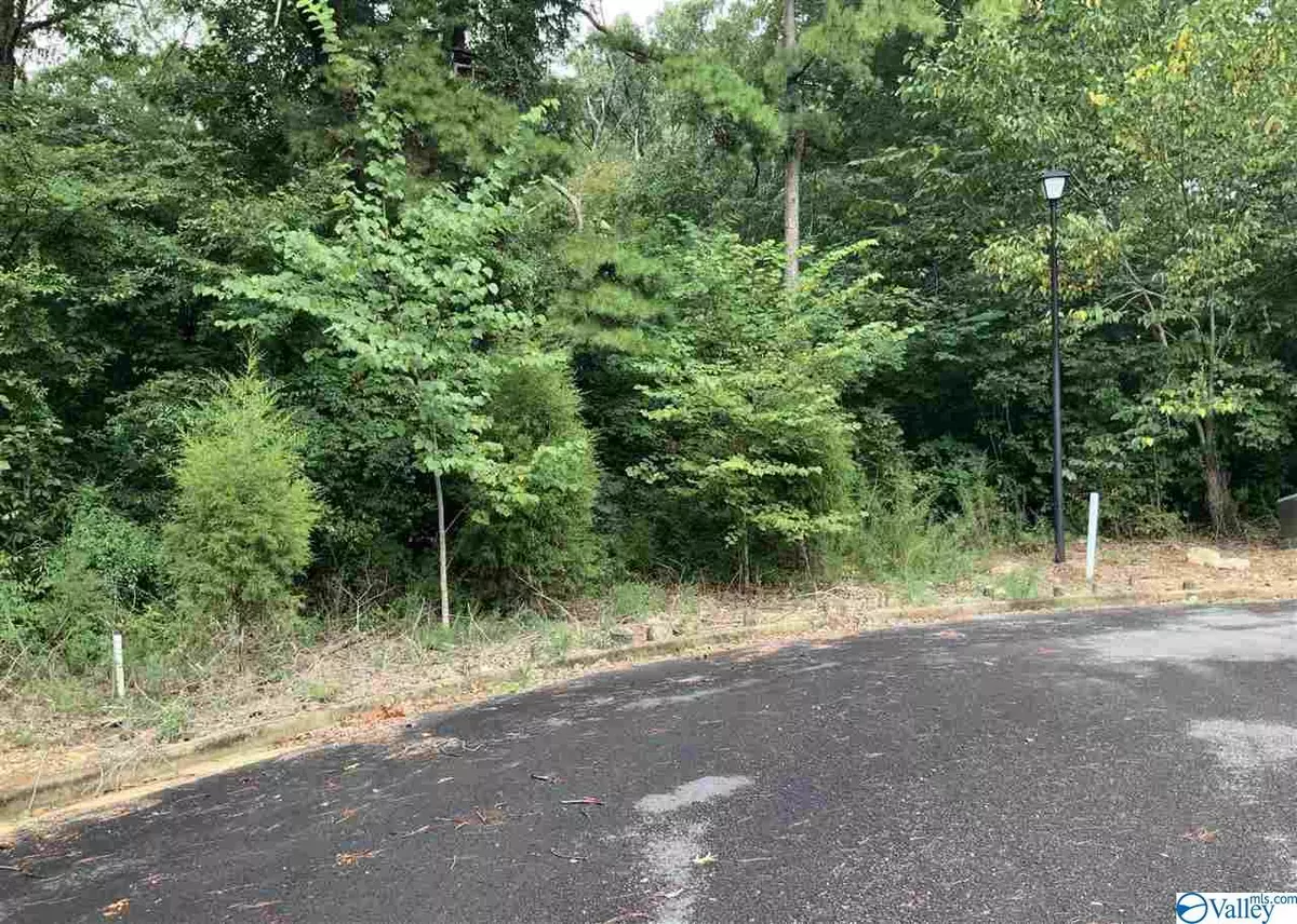 Leesburg, AL 35983,2 Lots Ridge Road