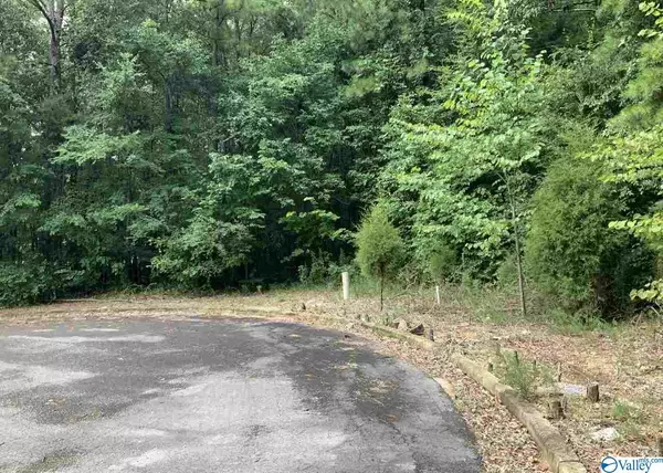 Leesburg, AL 35983,2 Lots Ridge Road