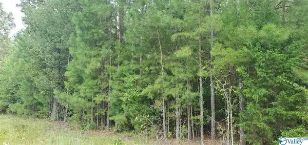 Lot 6 County Road 110, Leesburg, AL 35983