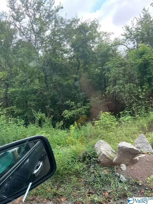 173 B Vincent #B, Eva, AL 35621