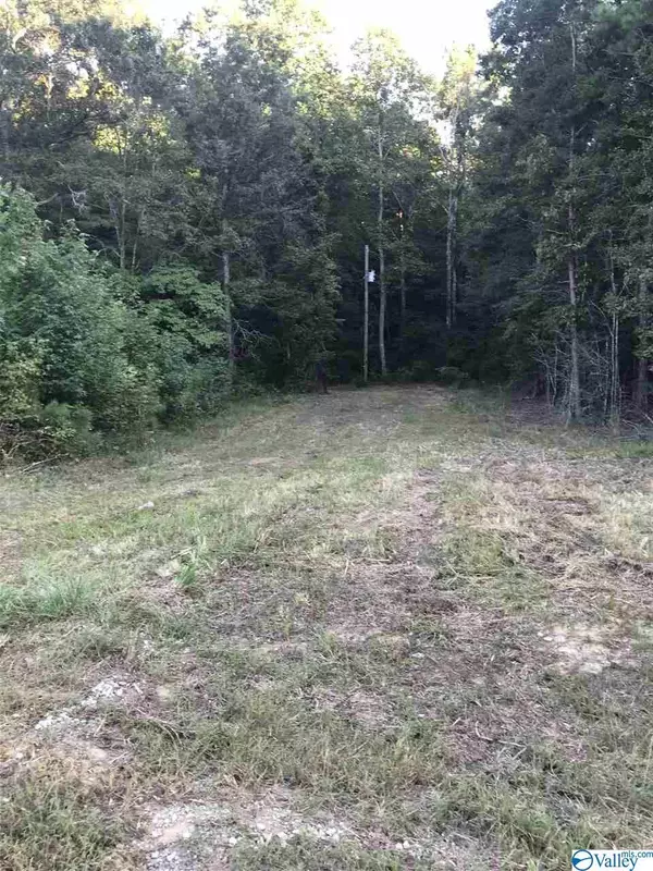 Moulton, AL 35650,lot 28 County Road 279