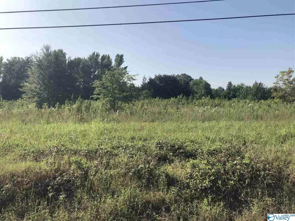 Trinity, AL 35673,Lot 4 County Road 170