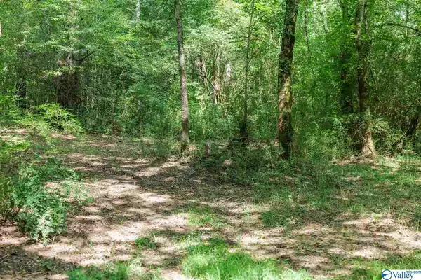 Double Springs, AL 35550,0 County Road 6