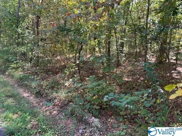 Fort Payne, AL 35967,00 Buckley Drive