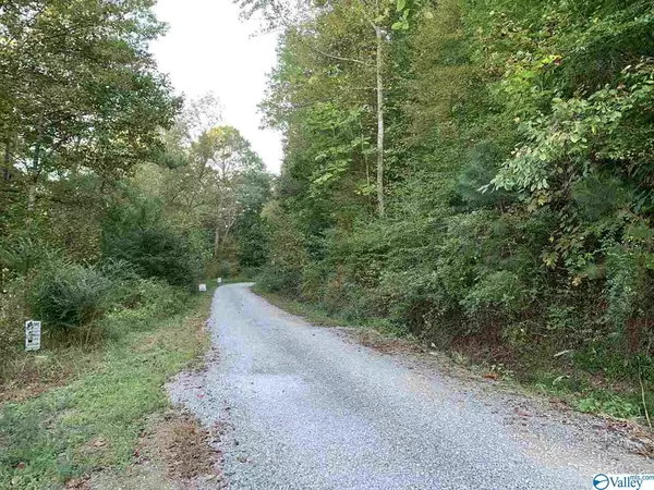 Arley, AL 35540,00 Northpointe Drive #Lot 9