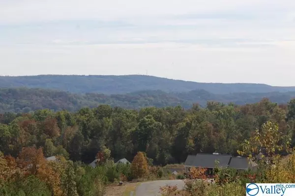 Fort Payne, AL 35967,Lot 3 Hillside Drive