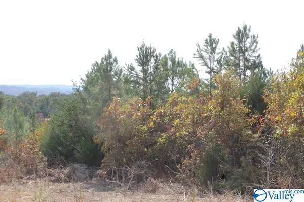 Lot 3 Hillside Drive, Fort Payne, AL 35967