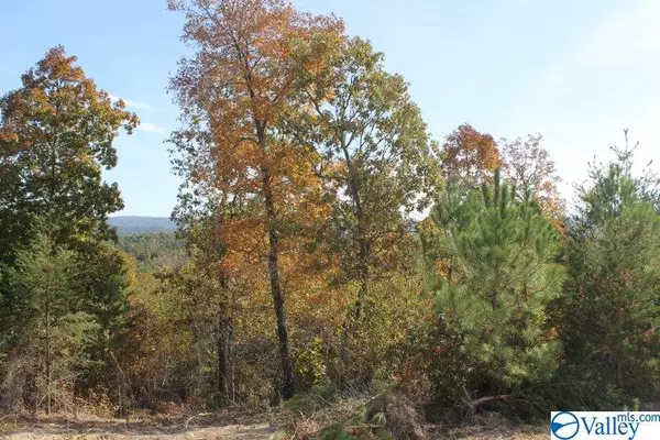 Lot 5 Hillside Drive, Fort Payne, AL 35967