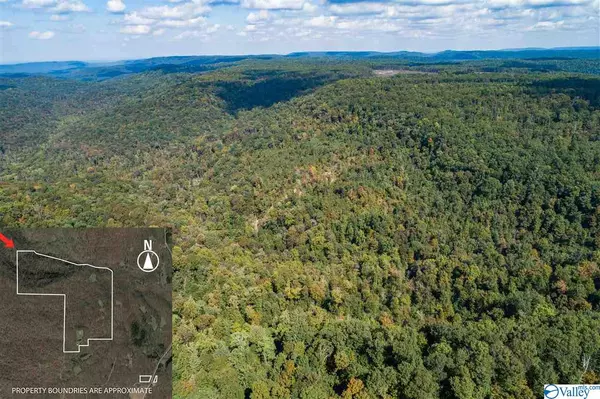 Princeton, AL 35766,1011 County Road 303