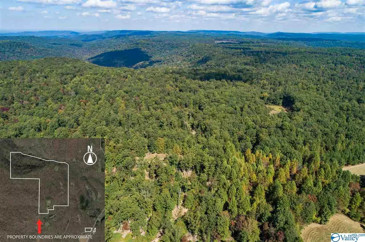 Princeton, AL 35766,1011 County Road 303