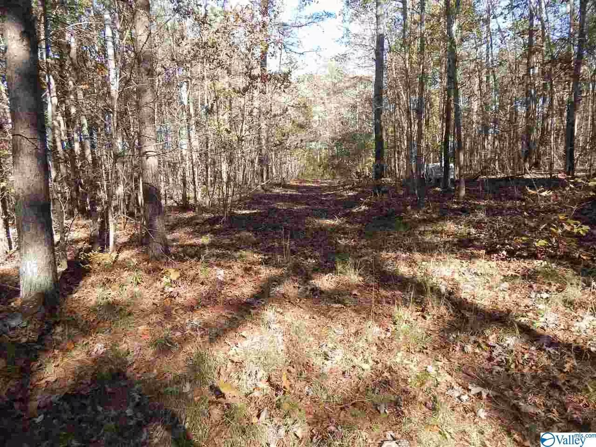 Mentone, AL 35984,10 AC Road 9002