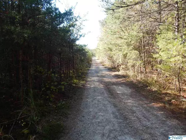 Mentone, AL 35984,10 AC Road 9002