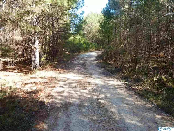 Mentone, AL 35984,10 AC Road 9002