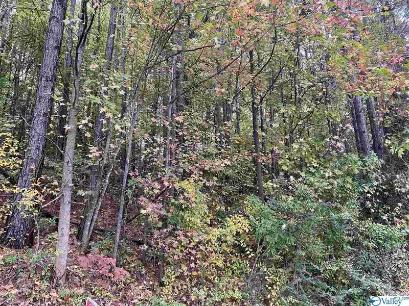 Lot 31 Hualapai Lane, Guntersville, AL 35976