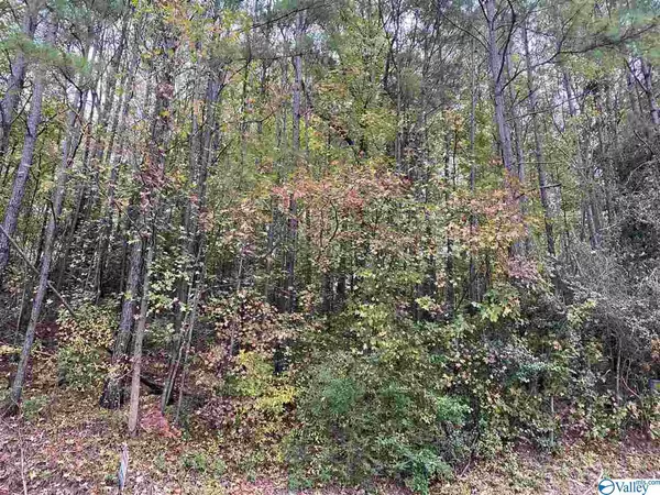 Guntersville, AL 35976,Lot 31 Hualapai Lane