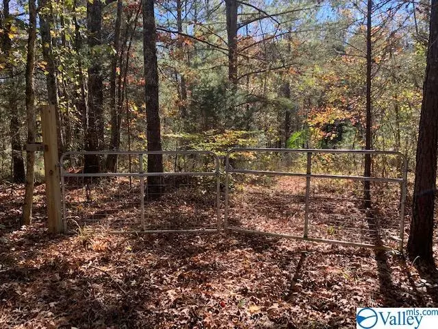 Grant, AL 35747,LOT 10 Stewart Hollow Road