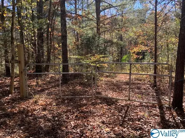 LOT 10 Stewart Hollow Road, Grant, AL 35747