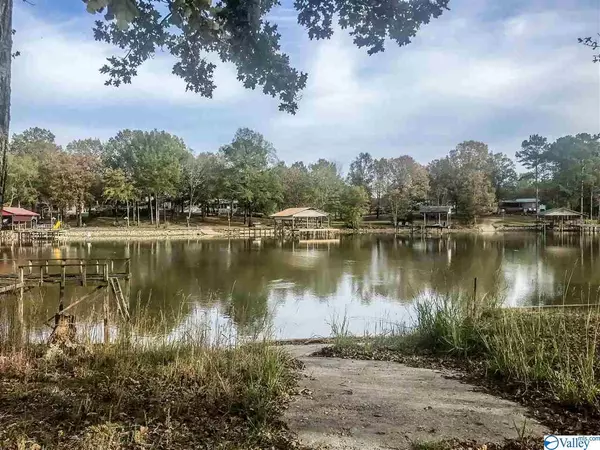 Cedar Bluff, AL 35959,Lot 22 County Road 667