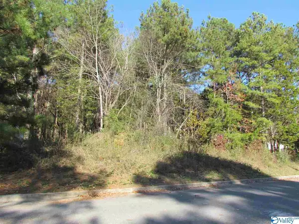 Decatur, AL 35603,2902 Wood Hollow Trail