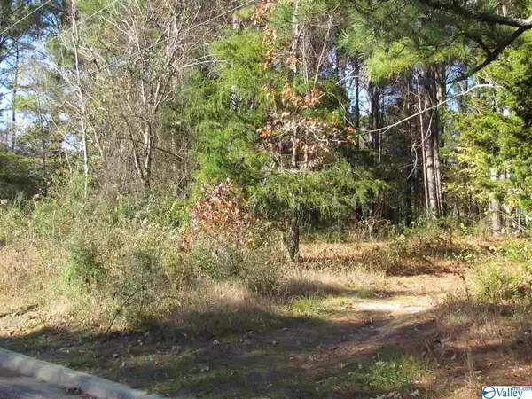 Decatur, AL 35603,2902 Wood Hollow Trail