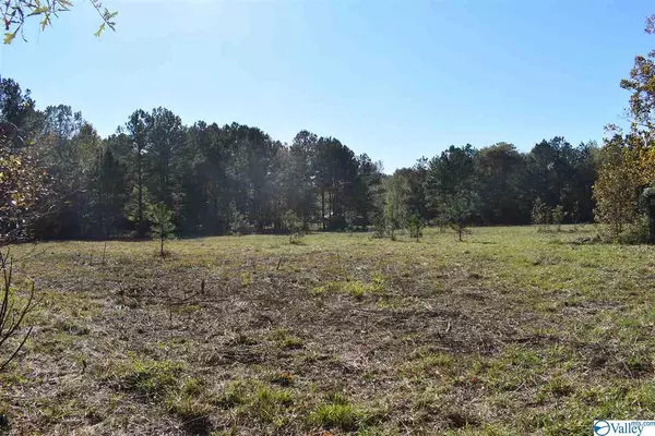 2250 Lasseter Road, Southside, AL 35907