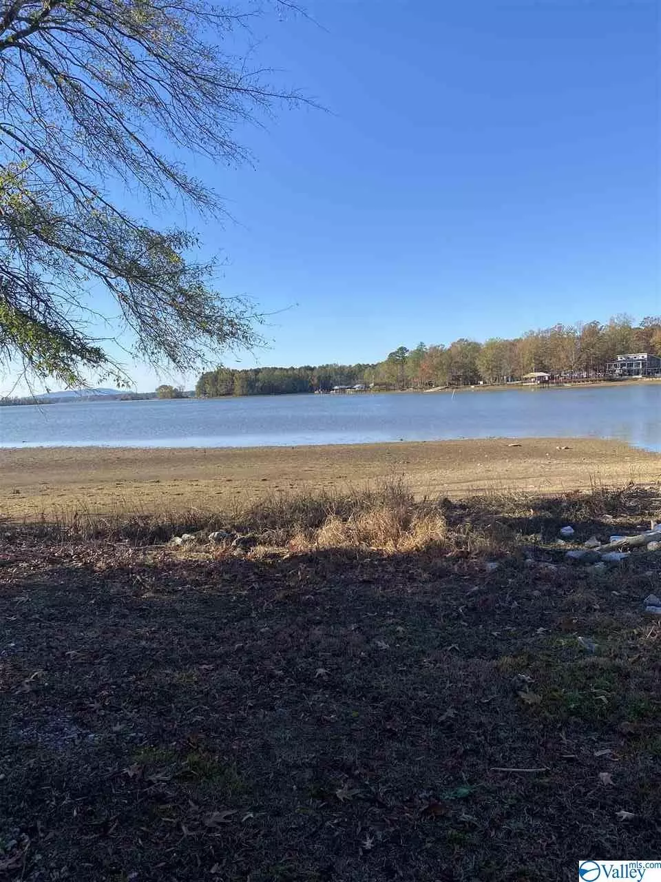 Cedar Bluff, AL 35959,Lot 58 Hidden Point Cove