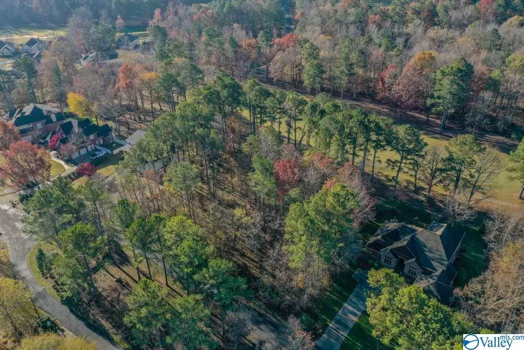 Union Grove, AL 35175,Lot 43 Savannah Circle