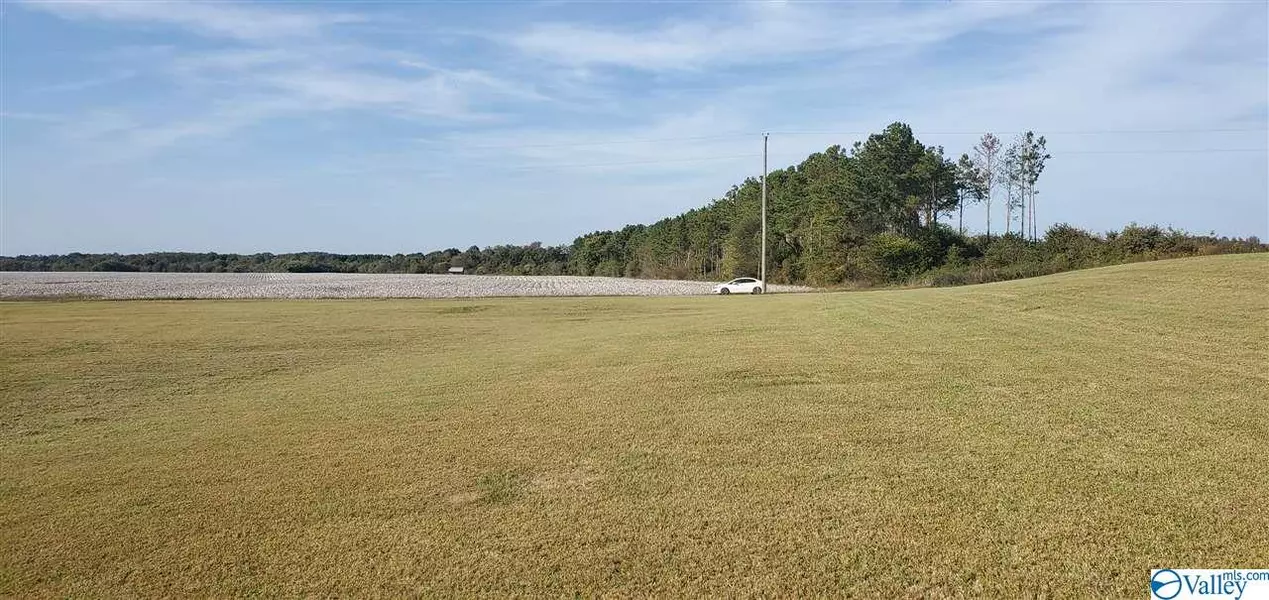 lot 34 County Road 1042, Centre, AL 35960