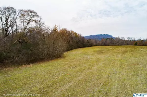 Scottsboro, AL 35768,00 Woods Cove Road