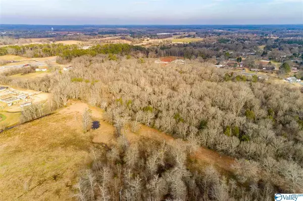 Moulton, AL 35650,19.40 Acres Beacon Street