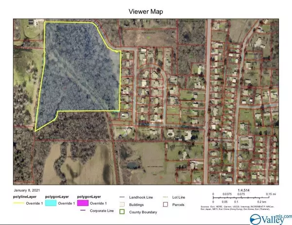 Moulton, AL 35650,19.40 Acres Beacon Street