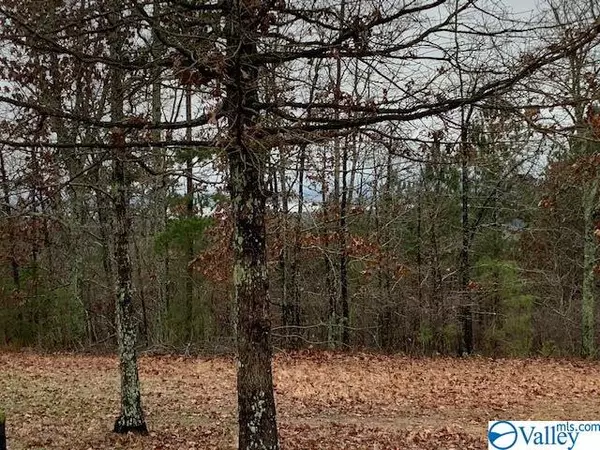 Cedar Bluff, AL 35959,Lot 42 County Road 767 ##42