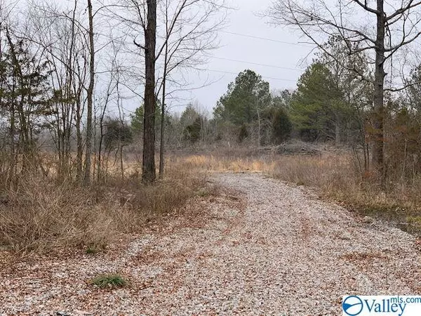 405 Summerford Orr Road, Falkville, AL 35622