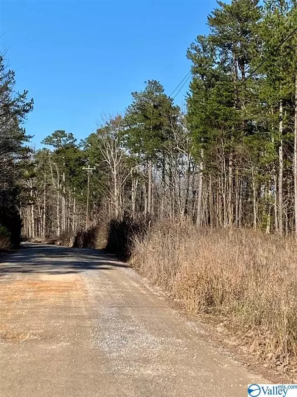 Gaylesville, AL 35973,Lot 24, 25 County Road 861