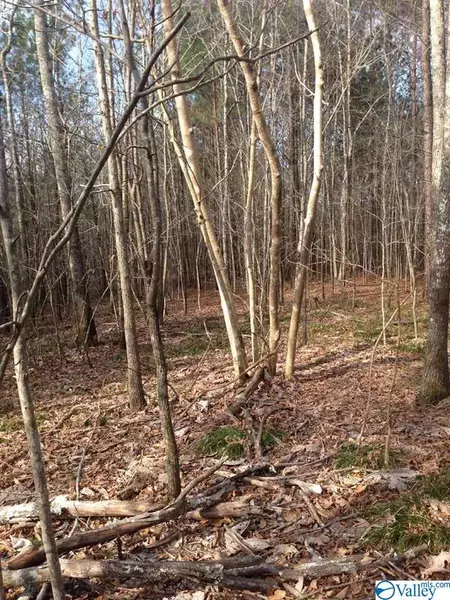 Lot 41 and 41A Turkey Bend Drive, Houston, AL 35572