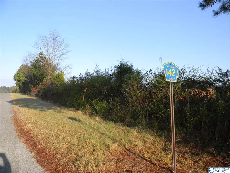 Tract # 2 County Road 142, Sand Rock, AL 35959