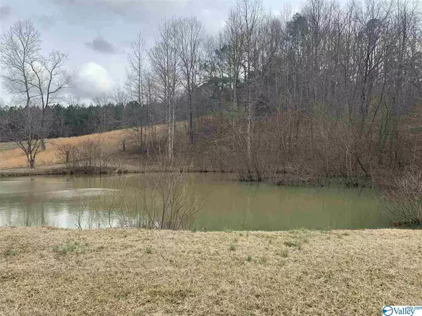 Ragland, AL 35131,690 Whippoorwill Lane