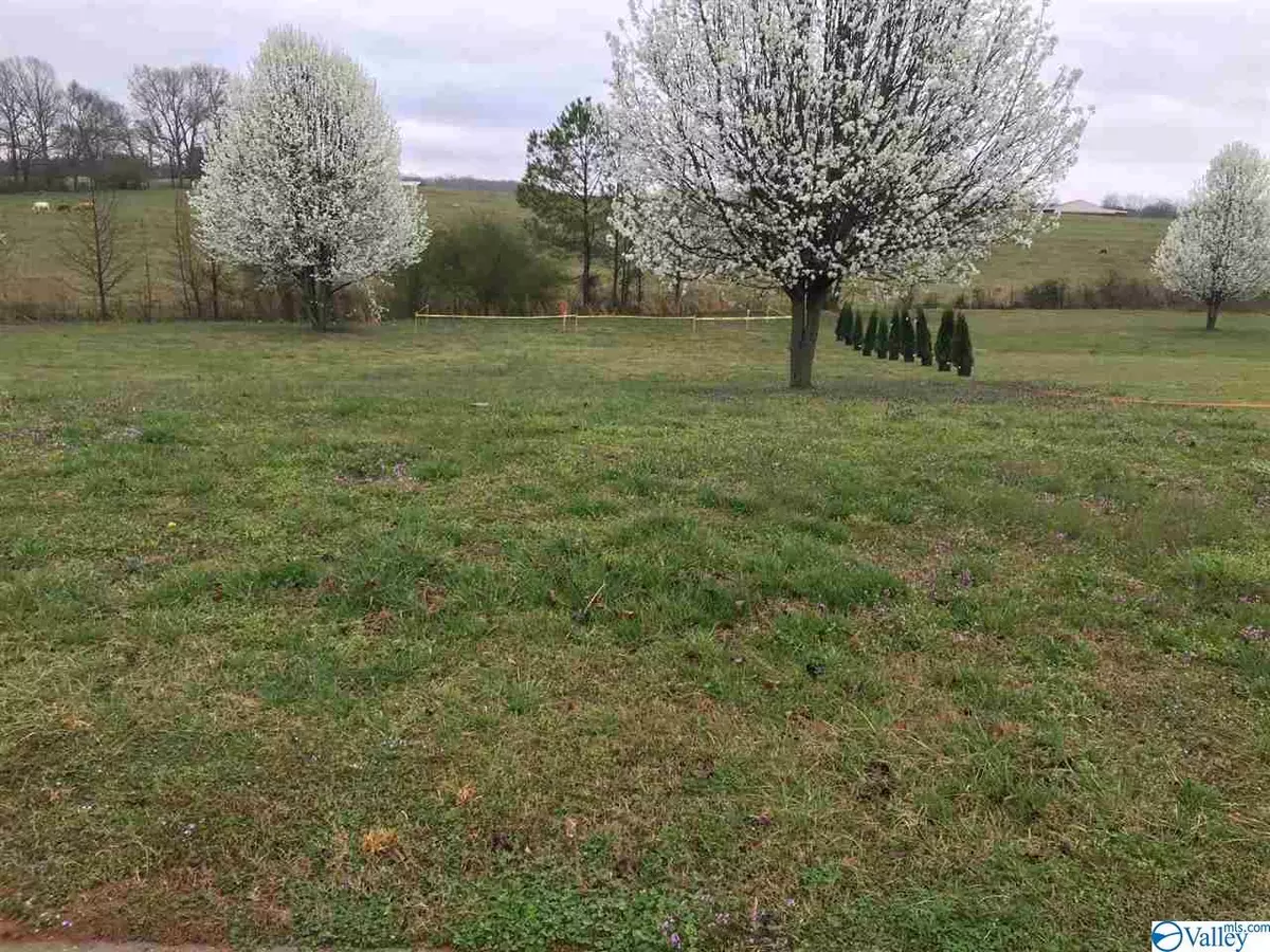 Athens, AL 35613,0 Mahogany Drive