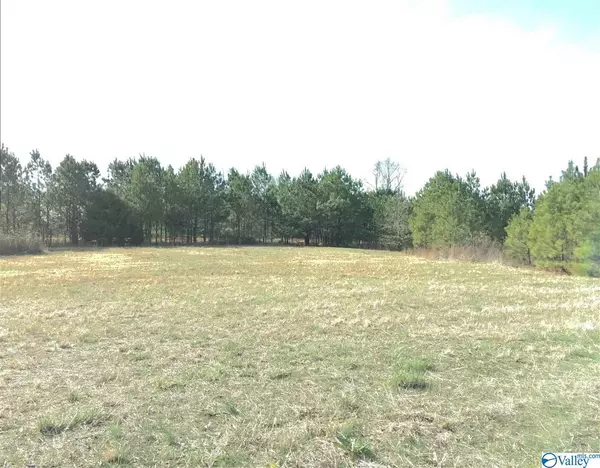 0 St. Michael Way NE, Hanceville, AL 35077