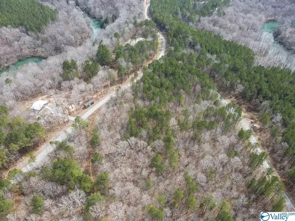 Addison, AL 35540,Lot #39 Turkey Bend Drive