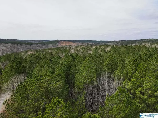 Addison, AL 35540,Lot #8 Turkey Bend Drive