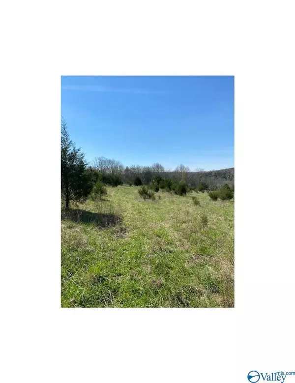 Petersburg, TN 37144,0 Red Oak Road