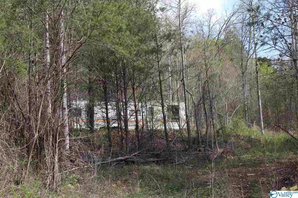 Fort Payne, AL 35968,0 County Road 494