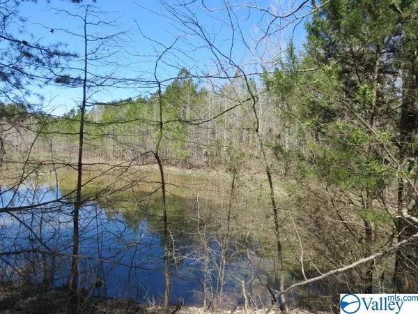 Higdon, AL 35979,0 County Road 92