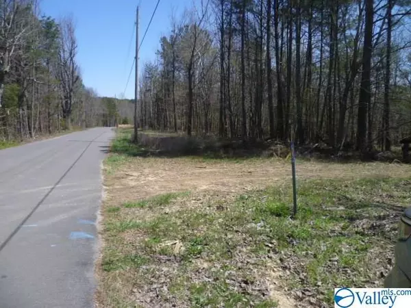 Lot 4 Citadel Rock Road, Fort Payne, AL 35967