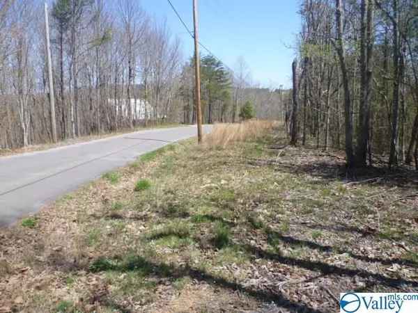 Fort Payne, AL 35967,Lot 5 Citadel Rock Road